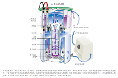 美國(guó)伯樂(lè) 制備型電泳